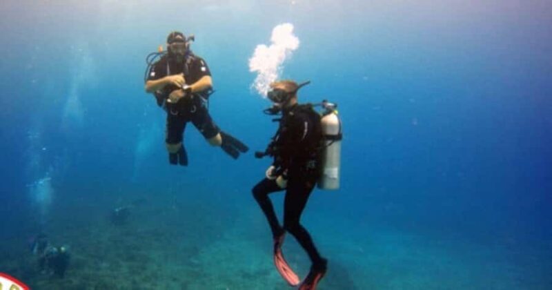 Honolulu: Discover Scuba Diving Experience with Gear - Key Points