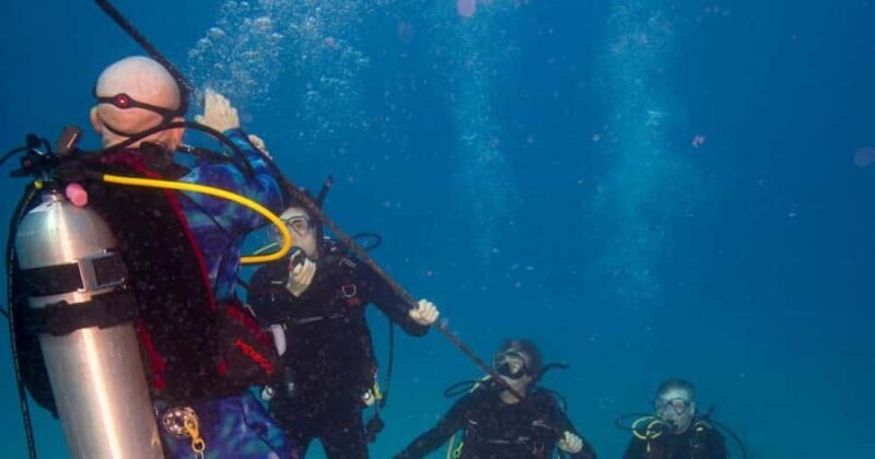 Honolulu: Discover Scuba Diving Experience with Gear - What Makes This Tour Stand Out