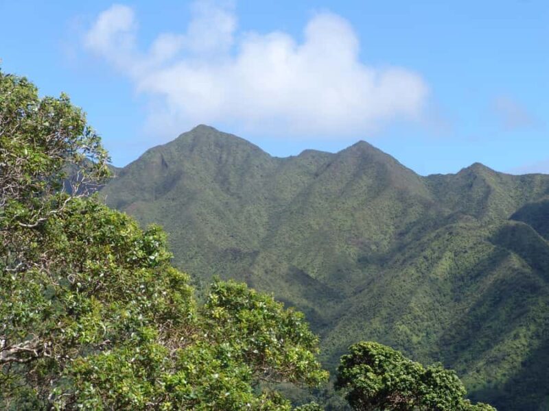 Honolulu: Hawaiian Volcanic Rainforest Hike - The Sum Up