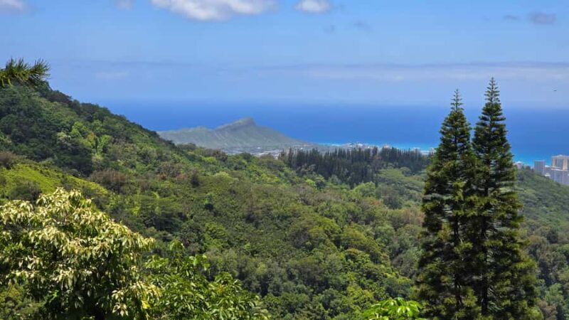 Honolulu: Hawaiian Volcanic Rainforest Hike - FAQ