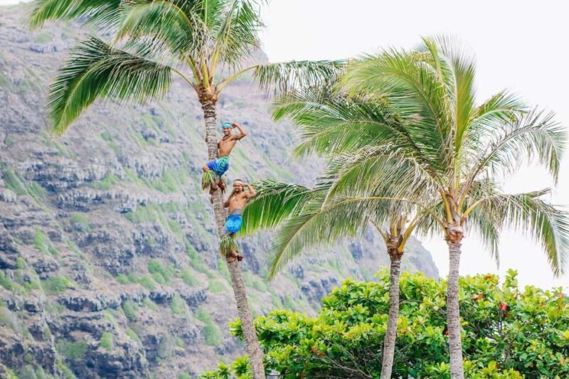 Honolulu: Ka Moana Luau Dinner and Show with Transportation - Key Points