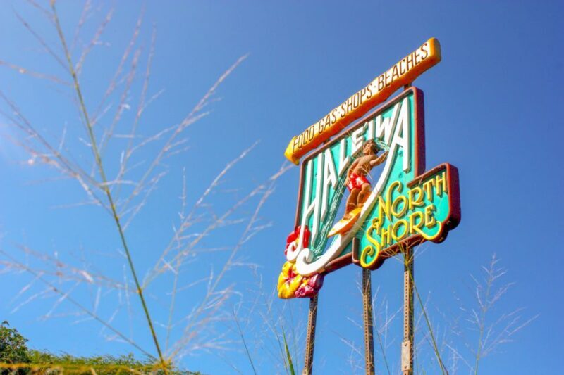 Honolulu: Oahu Island Full-Day Guided Tour by Bus with Lunch - Final Words