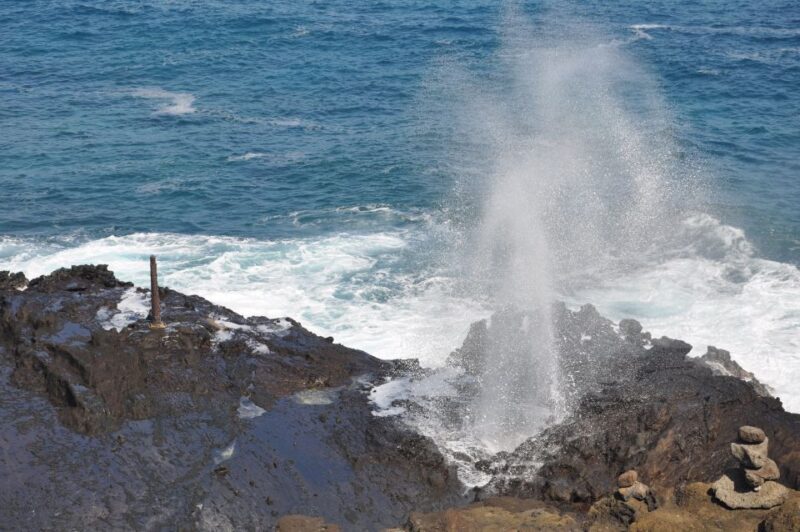 Honolulu: Oahu Island Highlights Tour with Multiple Stops - FAQ