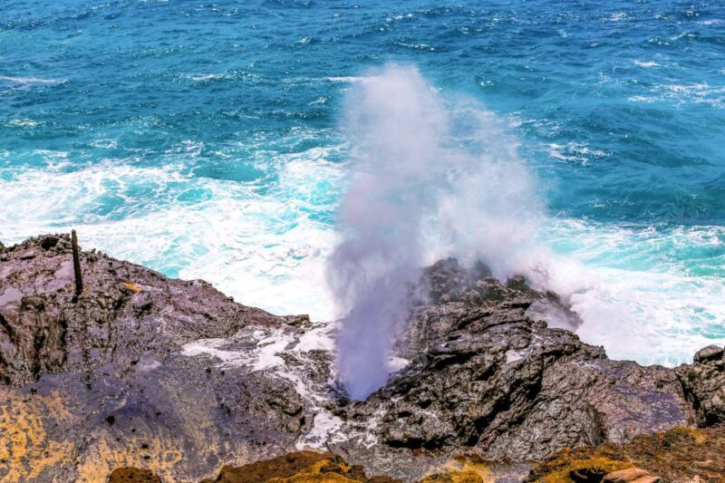 Honolulu: Oahu Sights and Bites Island Tour - Honolulu: Oahu Sights and Bites Island Tour — A Complete Guide