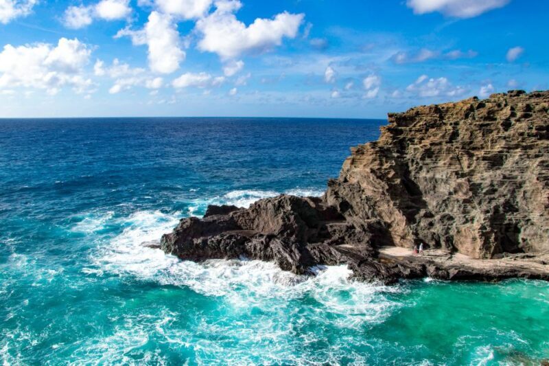 Honolulu: Oahu Sights and Bites Island Tour - What Youll Experience