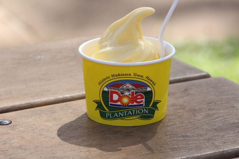 Honolulu: Oahu Sights and Bites Island Tour - Who Should Book This Tour?