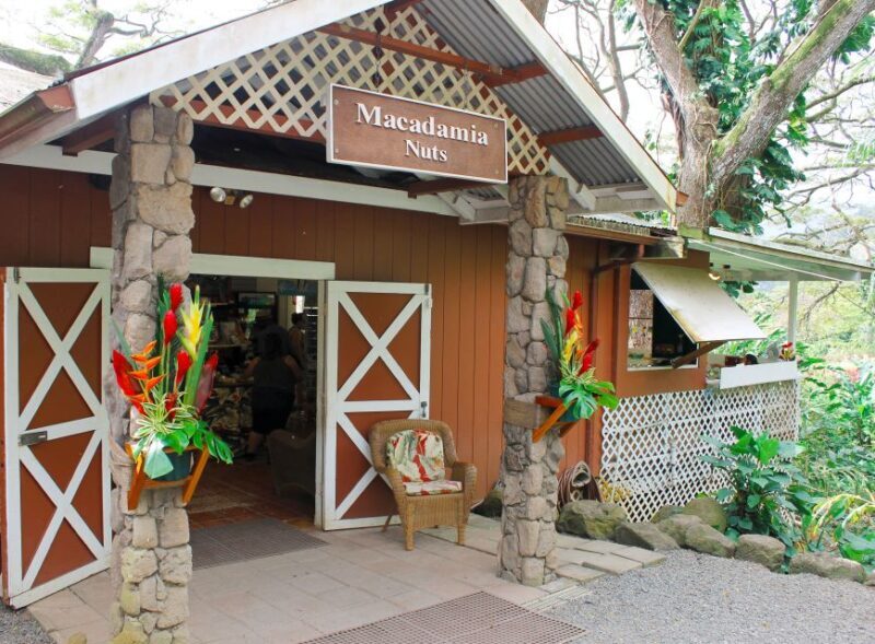 Honolulu: Oahu Sights and Bites Island Tour - FAQ