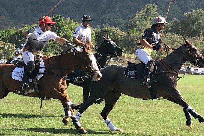 Honolulu Polo Game with Stables Tour and VIP Seats plus Private Island Tour - What Is the Tour All About?