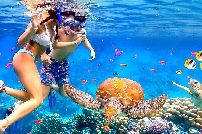 Honolulu Sailing and Snorkeling Activity - Diving into the Details of the Tour