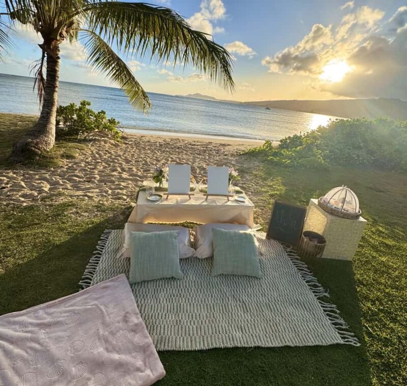 Honolulu: Secluded Beachside Luxury Picnic & Painting - Who Will Love This Experience?