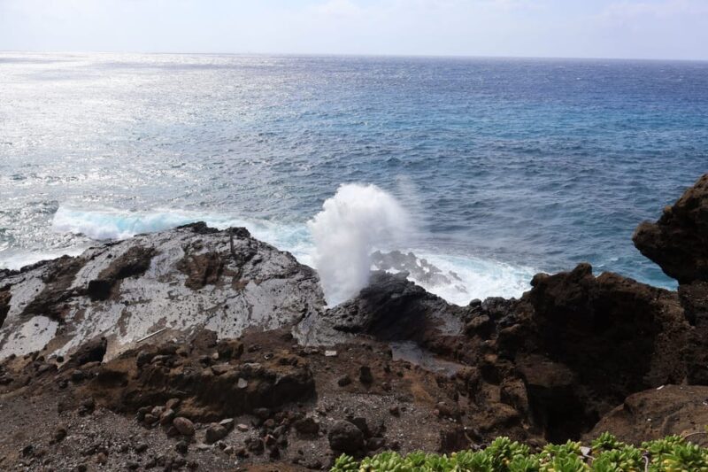 Honolulu: Stunning Views of Oahu! Half-day Scenic Tour - Who Will Love This Tour?