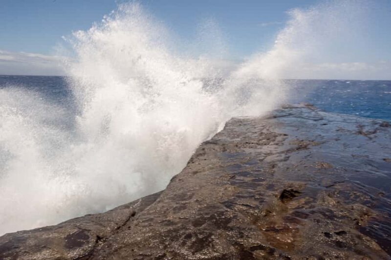 Honolulu: Ultimate Pearl Harbor and Circle Island Tour - Who Is This Tour Best For?