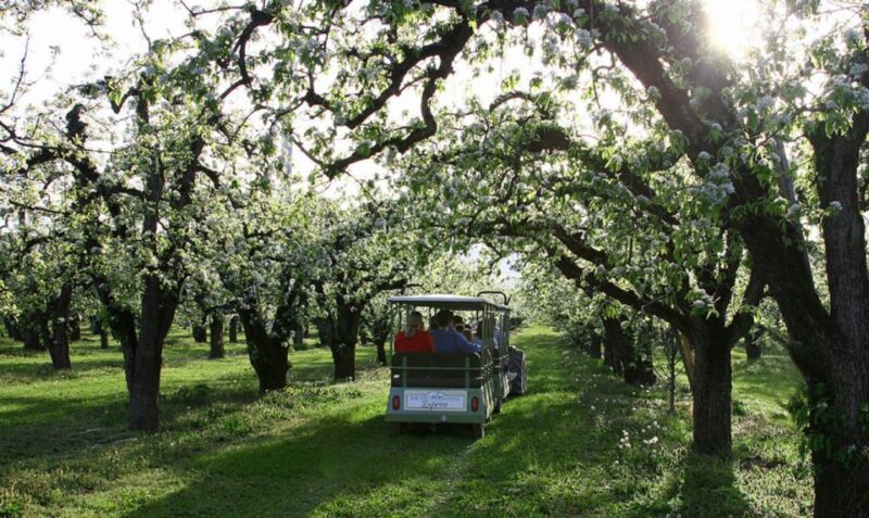 Hood River: Orchard Tour - An In-Depth Look at the Orchard Tour Experience