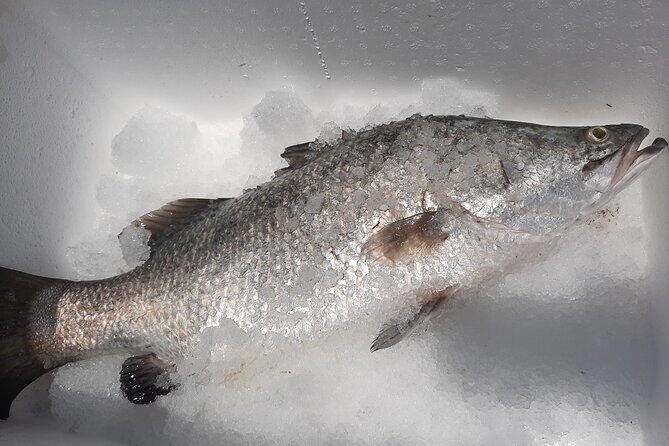 Hook-a-Barra Gourmet Farm Tour - The Sum Up