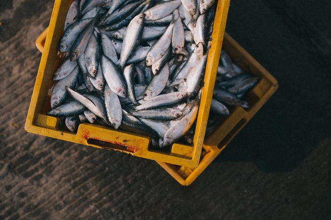 Hooked on Sesimbra - Hooked on Sesimbra: A Genuine Dive into Coastal Portugal’s Fishing Traditions