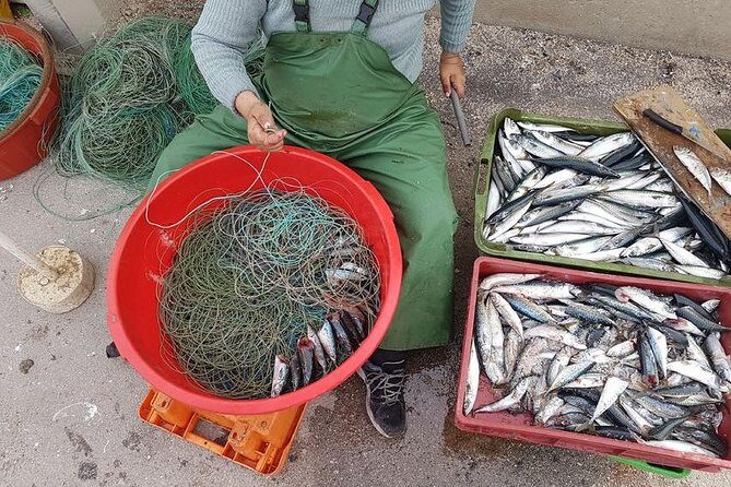 Hooked on Sesimbra - Key Points