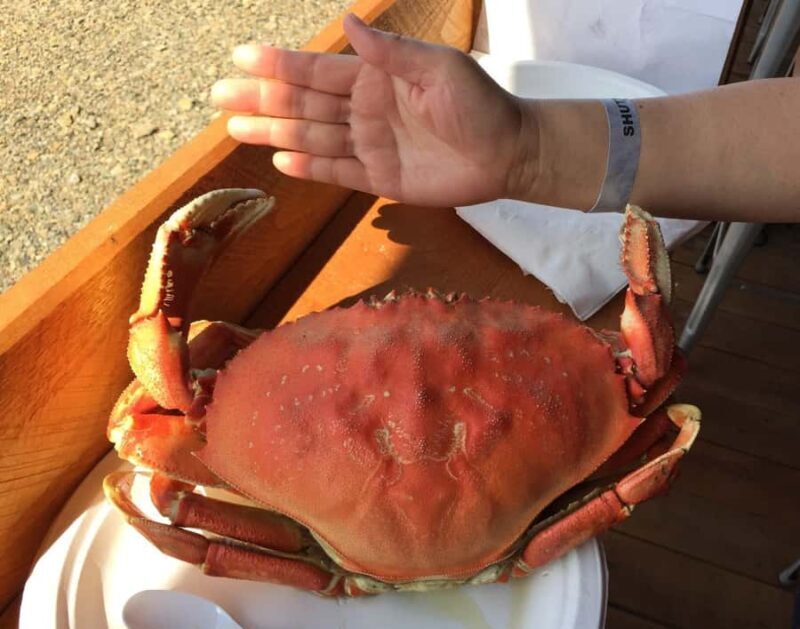 Hoonah: Icy Strait Village Tour and Crab Feast - Introduction: What’s All This About?