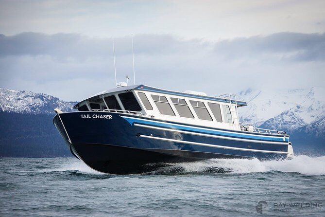 Hoonah Whale-Watching Cruise - Near Icy Strait Point - What Makes This Tour Stand Out