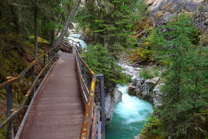 Hop-On and Hop-Off Banff Bus - Authentic Experiences and Real Traveler Insights