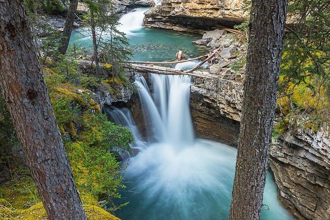Hop-On and Hop-Off Banff Bus - FAQ