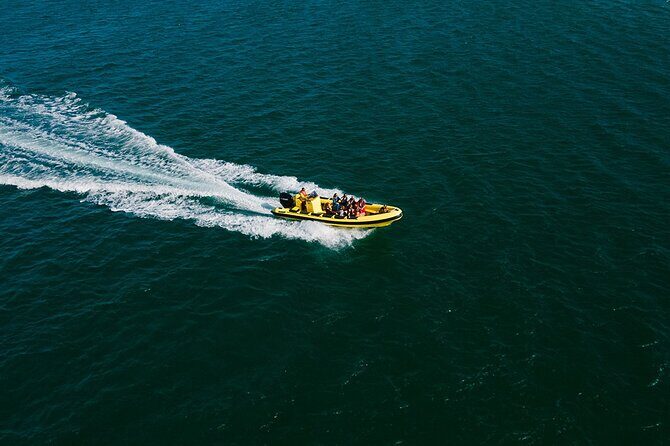 Hop On Hop Off 3 Islands: Deserta, Farol and Culatra - In-Depth Review of the Islands Tour