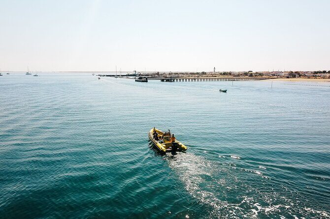 Hop On Hop Off 3 Islands: Deserta, Farol and Culatra - The Sum Up: The Right Fit for a Laid-back Island Adventure