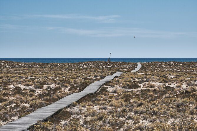 Hop On Hop Off 3 Islands: Deserta, Farol and Culatra - FAQ: Practical Questions About the Islands Tour
