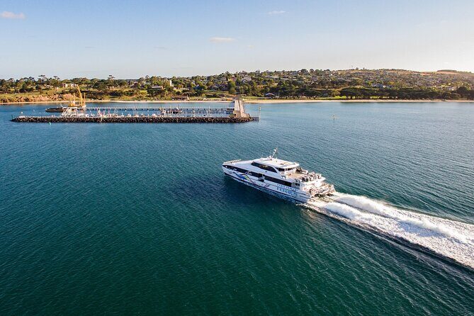 Hop On Hop Off Bellarine Bellarine Peninsula - Transportation: Ferry and Bus Combo