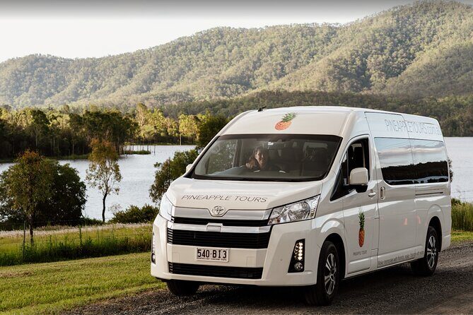 Hop on Hop Off Bus - Tamborine Mountain - An In-Depth Look at the Tamborine Mountain Experience