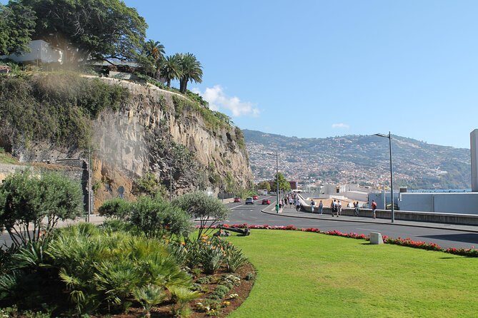 Hop-on Hop-off Bus Tour and Catamaran Whale & Dolphin Watching - The Sum Up