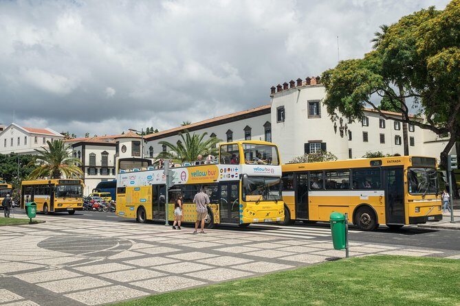 Hop-on Hop-off Bus Tour and Catamaran Whale & Dolphin Watching - Frequently Asked Questions