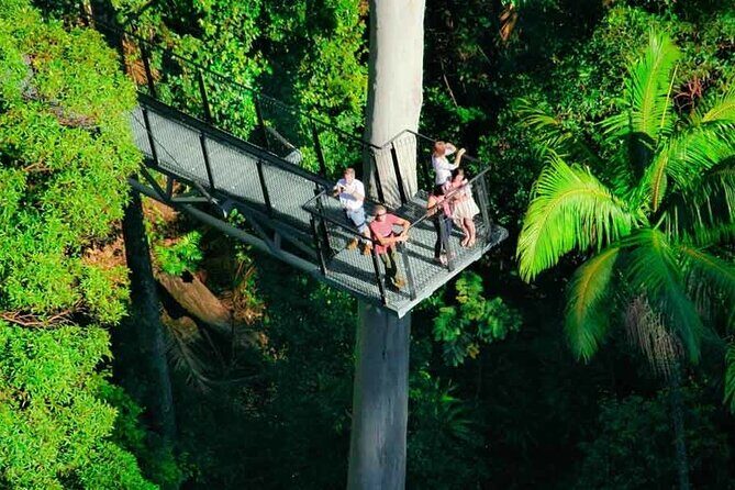 Hop on Hop off - Tamborine Rainforest Skywalk + Glow Worm Caves - Detailed Breakdown of the Experience