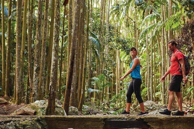 Hop on Hop off - Tamborine Rainforest Skywalk + Glow Worm Caves - Final Thoughts