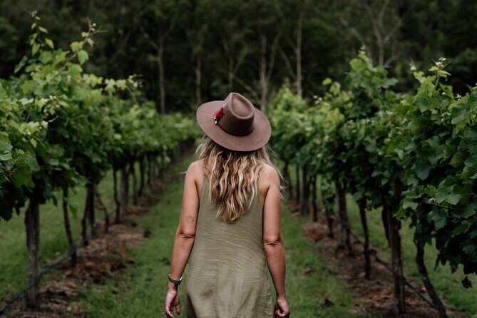 Hop on Hop off Wine tasting tour to Tamborine Mountain - The Sum Up: Is This Tour Worth It?