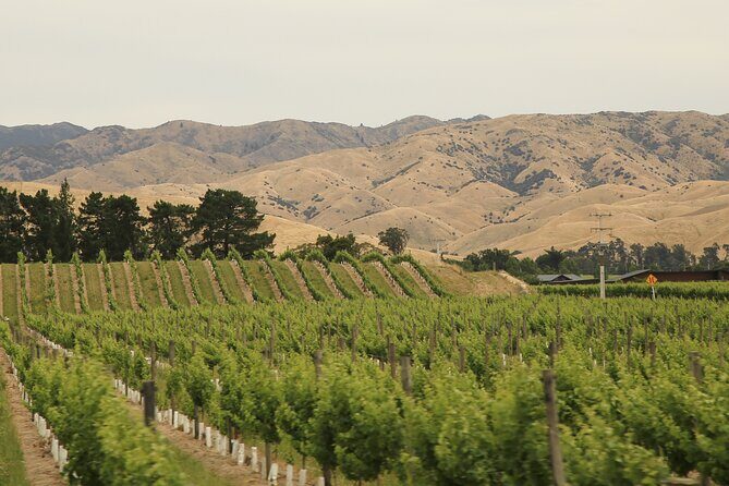 Hop on Hop off Wine Tours Marlborough - FAQs
