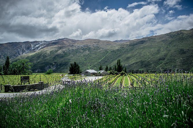 Hop on Hop off Wine Tours Queenstown - Why You’ll Love This Tour