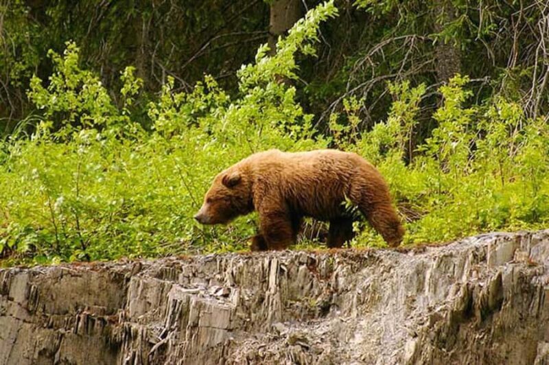 Hope: Turnagain Pass Scenic Float Trip - An In-Depth Look at the Hope: Turnagain Pass Scenic Float Trip