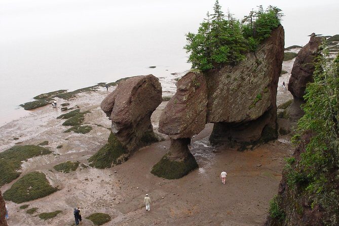 Hopewell Rocks Admission - An In-Depth Look at Hopewell Rocks Experience