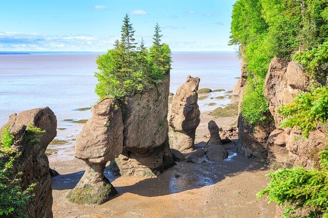 Hopewell Rocks Bay of Fundy Tour - An In-Depth Look at the Hopewell Rocks Bay of Fundy Tour