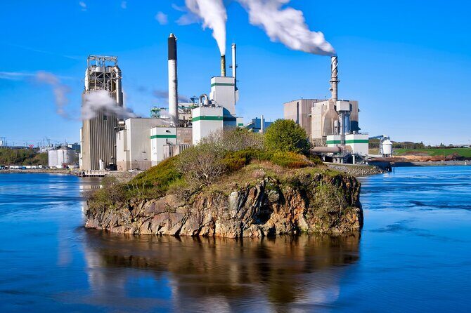 Hopewell Rocks Bay of Fundy Tour - The Sum Up: Is It Worth It?