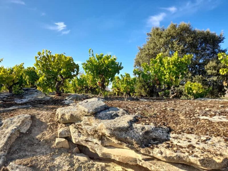 HOPLITA and FRIENDS tasting - An In-Depth Look at the Tour