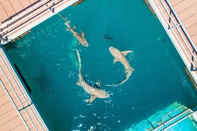 Horizontal Falls Helicopter Adventure from Broome - Potential Drawbacks or Considerations