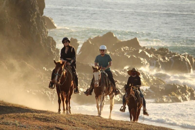Horse Back Ridding Tour on the Pacific Ocean & Desert - Final Thoughts