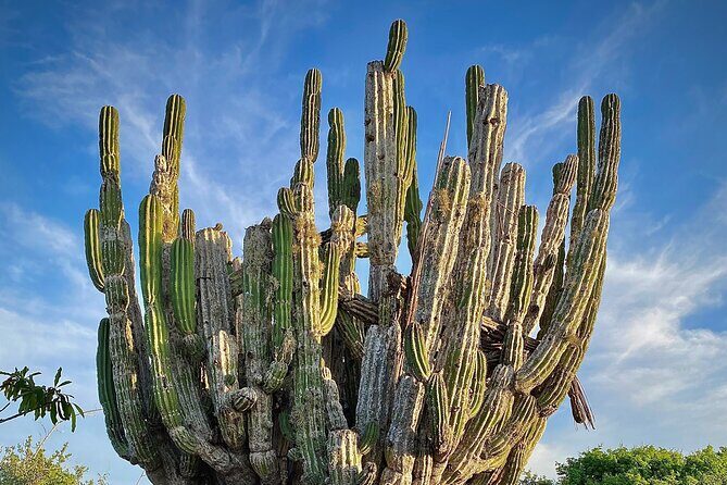 Horse Back Ridding Tour on the Pacific Ocean & Desert - Frequently Asked Questions