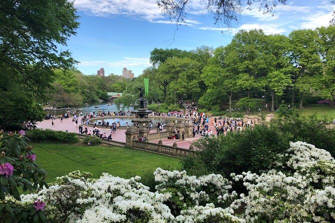 Horse Carriage Ride to/from Tavern On The Green (Up to 4 Adults) - Exploring the Central Park Horse Carriage Ride in Detail