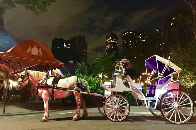 Horse Carriage Romantic Ride (VIP-Private) in Central Park 1964 - Tipping and Additional Costs