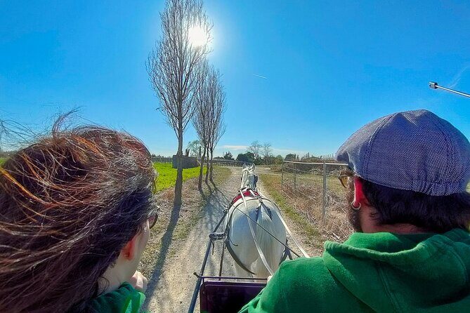 Horse Carriage Tour and Wine Tasting in Lazise - Who Would Love This Tour?