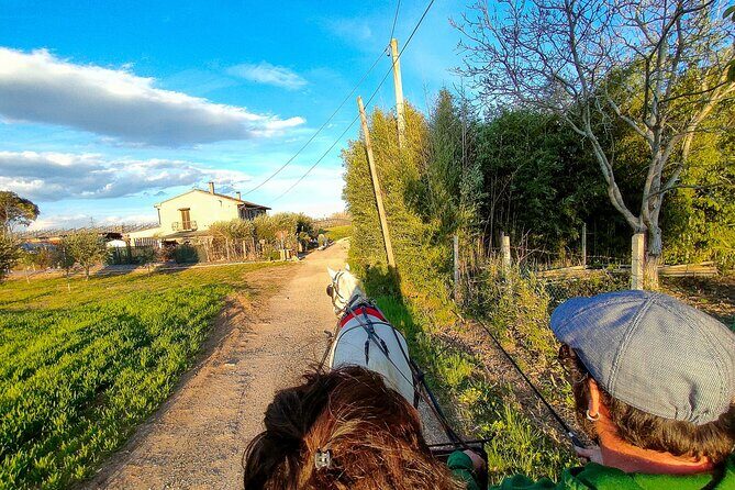 Horse Carriage Tour and Wine Tasting in Lazise - The Sum Up