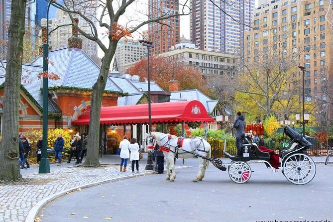 Horse Carriage Tour in New York City's Central Park Small Loop - Who Is This Tour Best For?