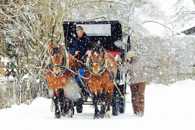 Horse Carriage Tour of Garmisch-Partenkirchen - The Sum Up